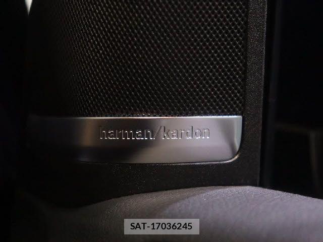 Mercedes Benz GLS-CLASS 2017-10 8100415-14