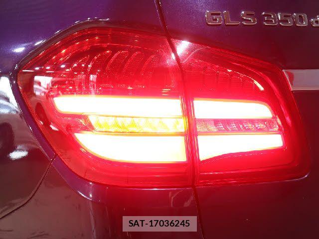 Mercedes Benz GLS-CLASS 2017-10 8100415-24