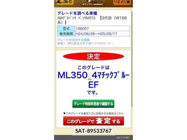 Mercedes Benz M-CLASS 2012-07 8438427-22