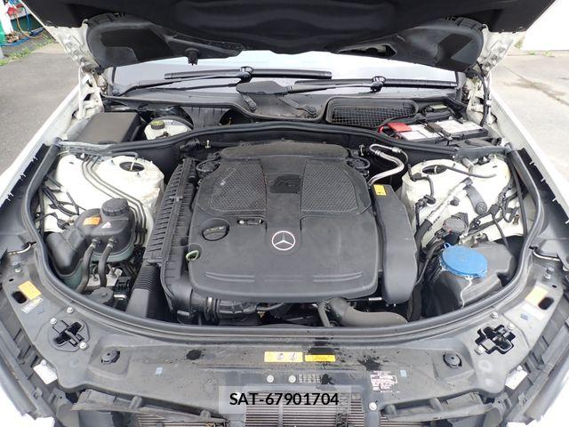 Mercedes Benz S-CLASS 2013-06 7562425-25