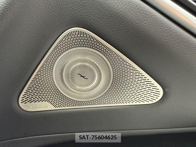 Mercedes Benz S-CLASS 2024-03 7787012-25