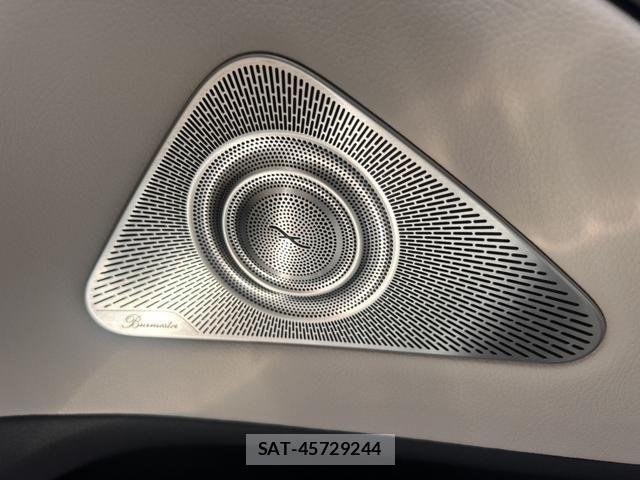 Mercedes Benz S-CLASS 2024-06 7787013-8
