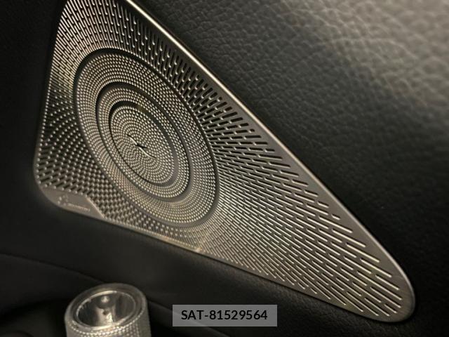 Mercedes Benz S-CLASS 2021-07 8036753-26