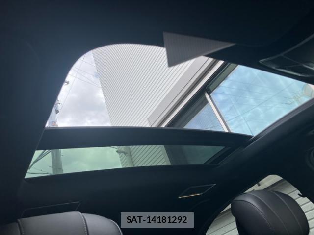 Mercedes Benz S-CLASS 2019-06 8366991-19