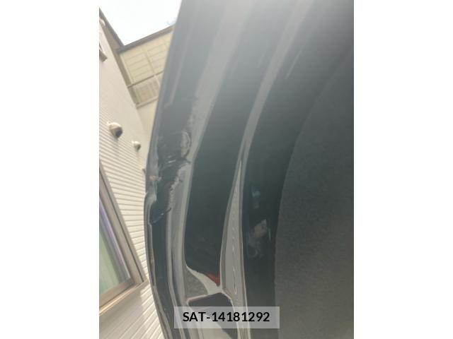 Mercedes Benz S-CLASS 2019-06 8366991-25
