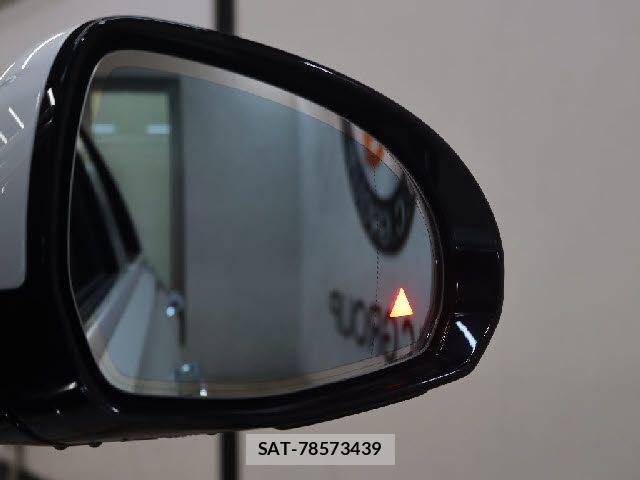Mercedes Benz S-CLASS 2021-06 6245704-8