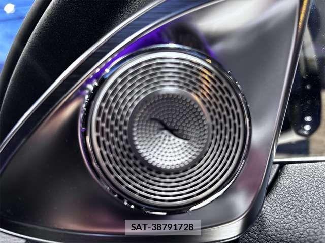 Mercedes Benz S-CLASS 2021-05 6245697-18