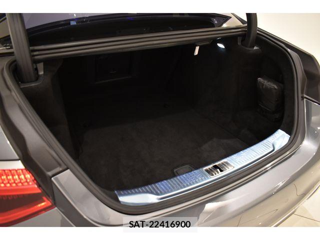 Mercedes Benz S-CLASS 2021-08 6613232-18