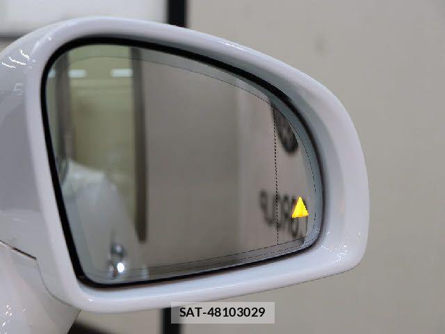 Mercedes Benz C-CLASS 2016-06 7725629-9
