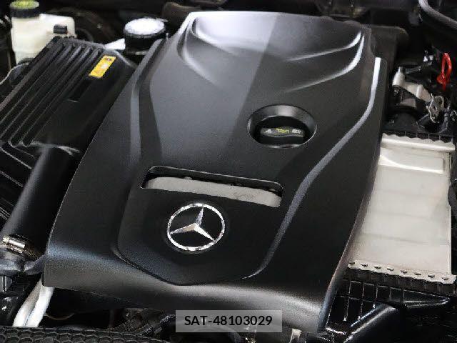 Mercedes Benz C-CLASS 2016-06 7725629-6