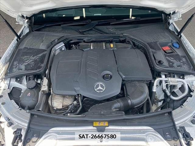 Mercedes Benz C-CLASS 2019-06 1123953-11