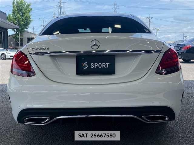 Mercedes Benz C-CLASS 2019-06 1123953-13