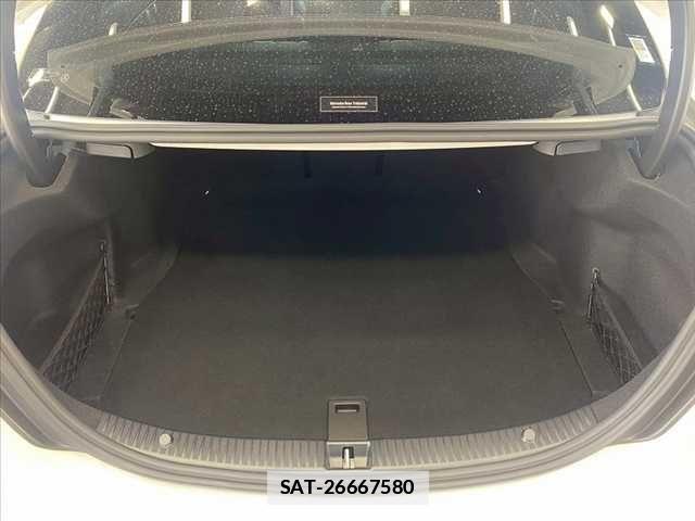 Mercedes Benz C-CLASS 2019-06 1123953-17