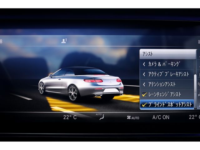 Mercedes Benz E-CLASS 2019-02 484390-21