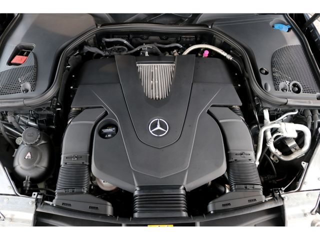 Mercedes Benz E-CLASS 2019-02 484390-29