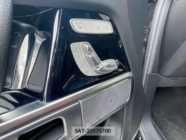 Mercedes Benz G-CLASS 2019-09 916038-10