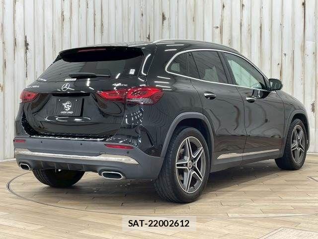 Mercedes Benz GLA-CLASS 2020-12 1067182-15