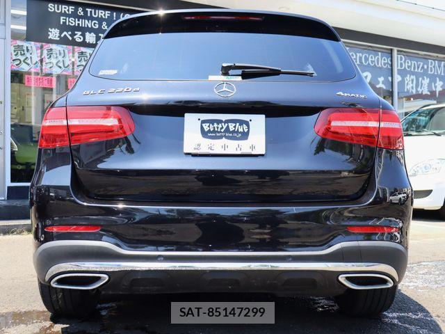 Mercedes Benz GLC-CLASS 2018-01 1092691-20