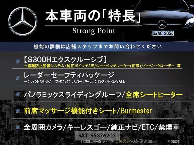 Mercedes Benz S-CLASS 2017-03 1165255-2