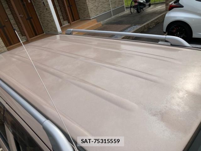 Daihatsu MIRA COCOA 2009-09 7618185-5