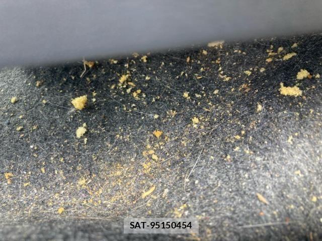 Daihatsu MIRA 2018-12 8315547-13