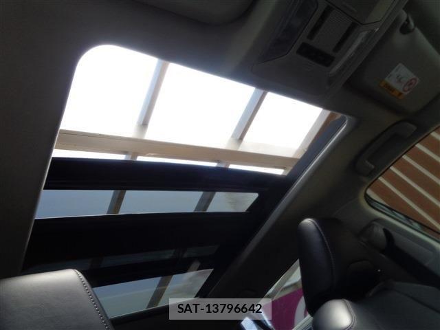 Mitsuoka BUDDY 2022-03 1053413-23