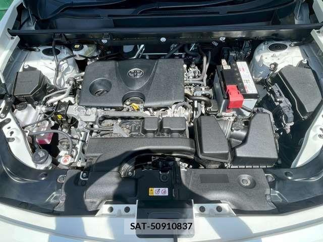 Mitsuoka BUDDY 2022-10 1309491-4