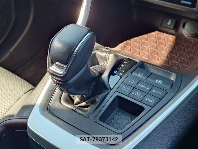 Mitsuoka BUDDY 2023-03 4371860-19
