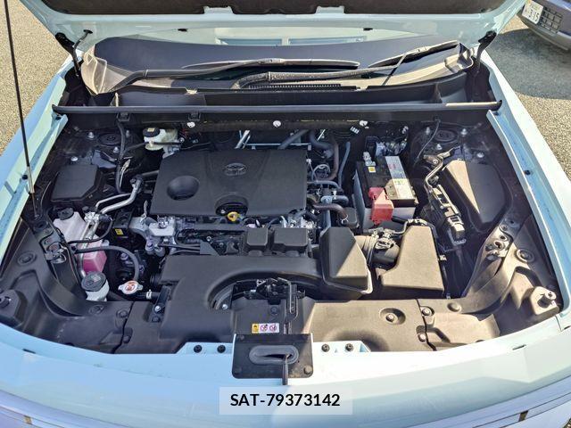Mitsuoka BUDDY 2023-03 4371860-6