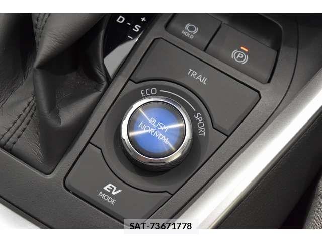 Mitsuoka BUDDY 2024-01 8208810-12