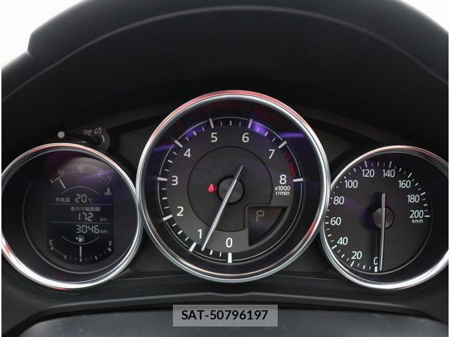 Mitsuoka Rock Star 2021-04 1413593-20