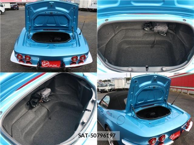 Mitsuoka Rock Star 2021-04 1413593-7