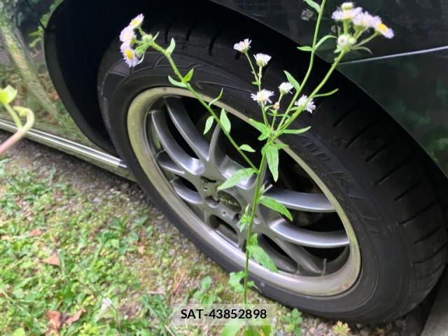 Mazda MPV 2013-02 7328645-8