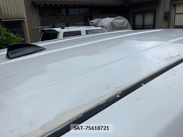 Mazda MPV 2006-05 7618384-5