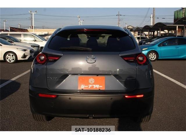Mazda MX-30 2022-07 6246034-14