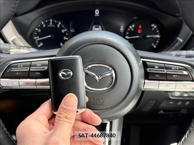 Mazda MX-30 2020-11 6276923-17
