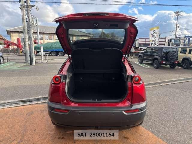 Mazda MX-30 2021-01 6909614-15