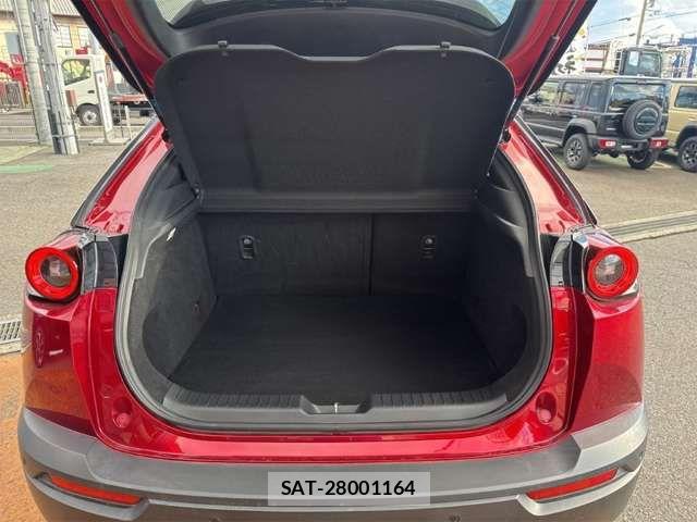 Mazda MX-30 2021-01 6909614-16