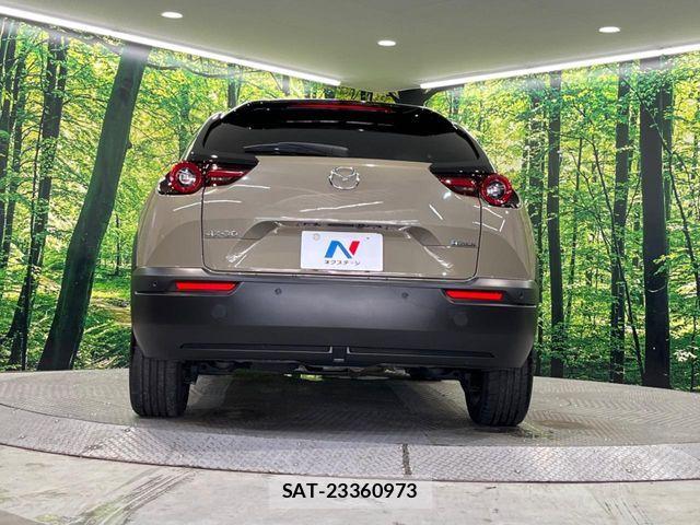 Mazda MX-30 2023-10 7456092-14