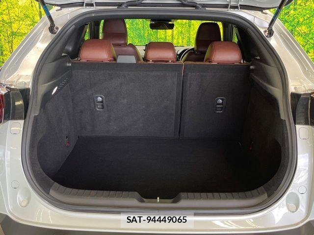 Mazda MX-30 2020-09 7962743-11
