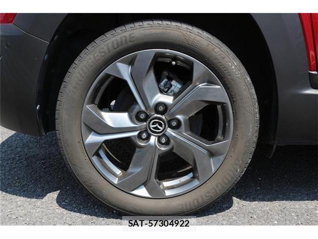 Mazda MX-30 2021-03 8131412-27