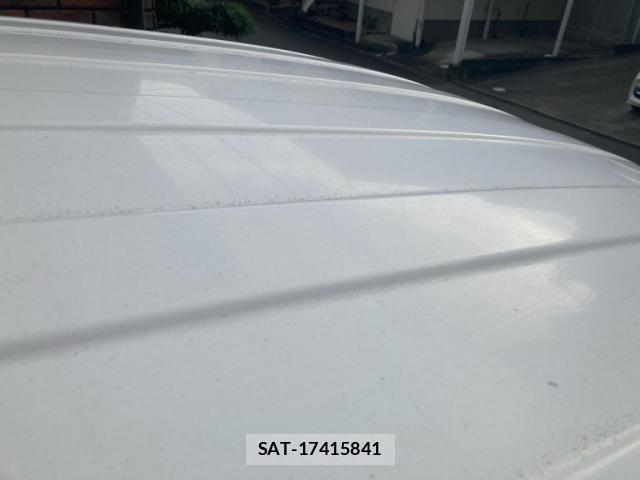Nissan VANETTE VAN 2017-12 8037405-10