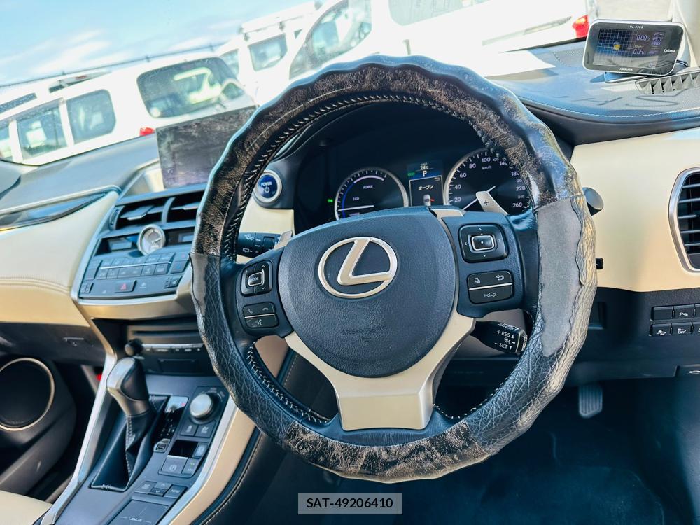 Lexus NX 2015 7263040-14