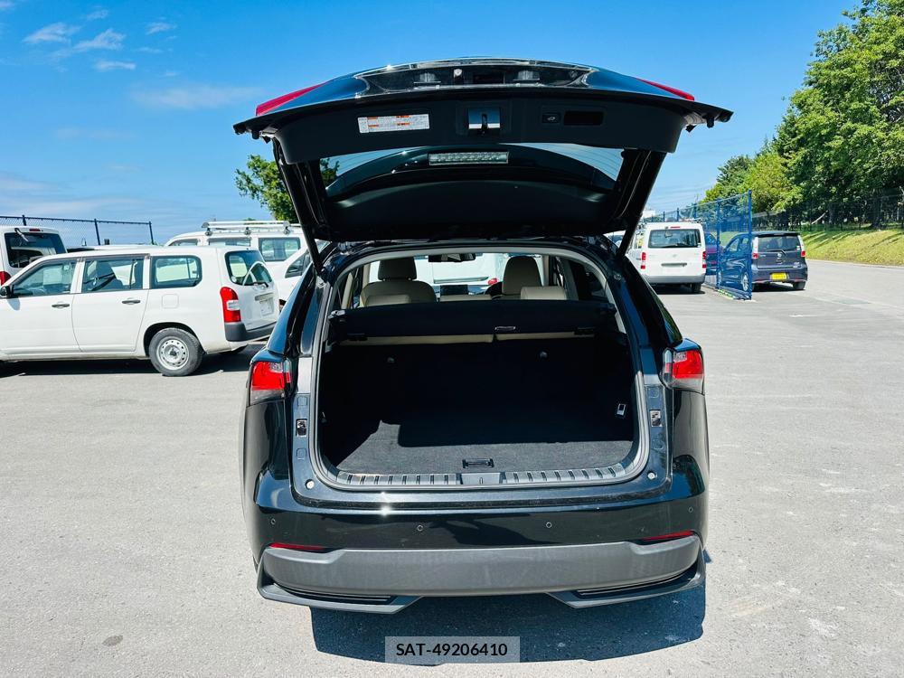 Lexus NX 2015 7263040-26