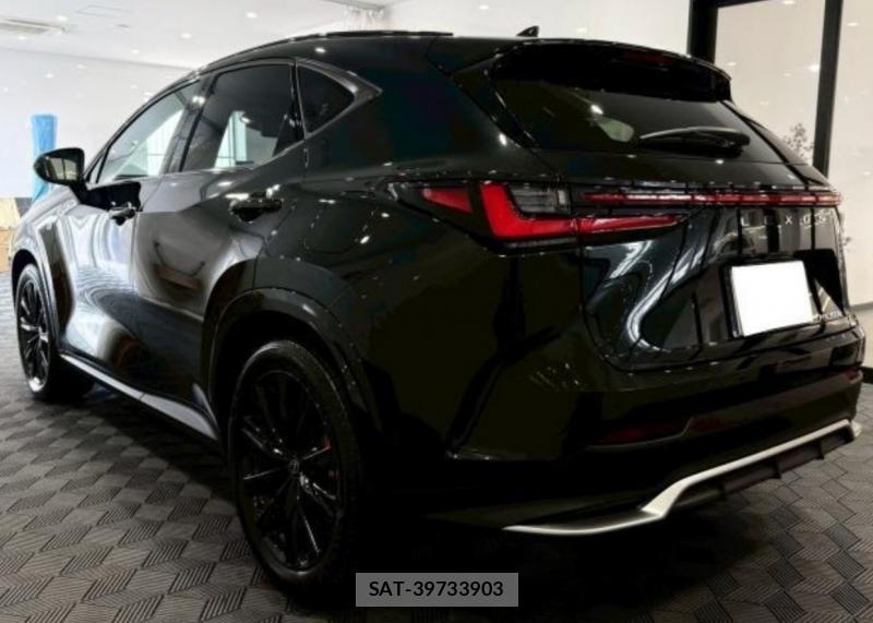 Lexus NX 2026-01 8161336-1
