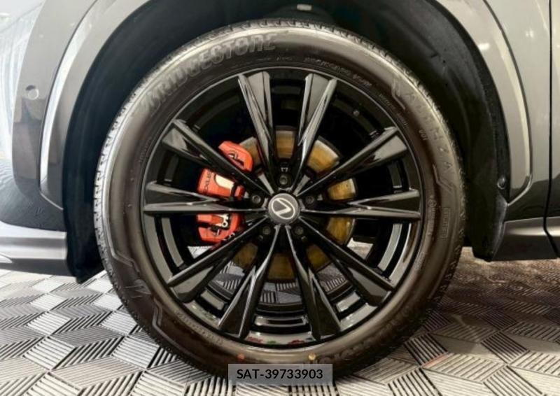 Lexus NX 2026-01 8161336-19