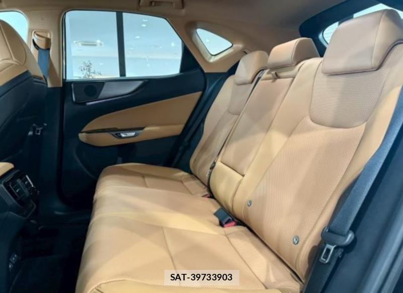 Lexus NX 2026-01 8161336-4