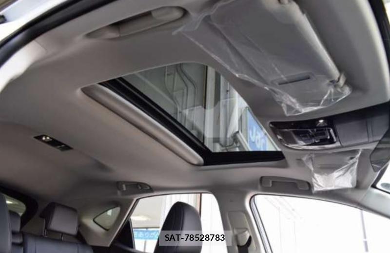 Lexus NX 2026-05 8161331-15