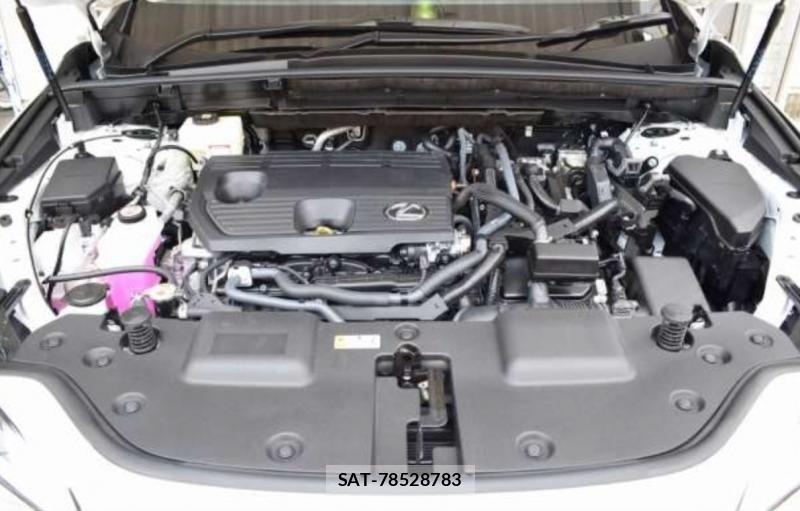 Lexus NX 2026-05 8161331-19