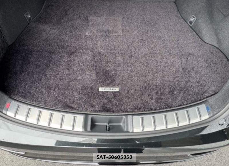 Lexus NX 2026-04 8254483-32